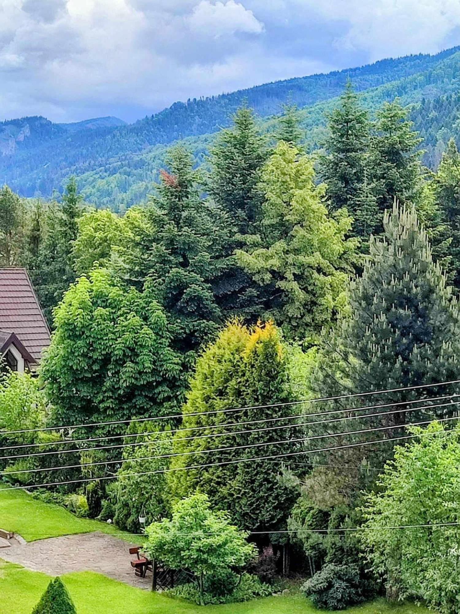 Ferienwohnung Dom Lesnik Zakopane Exterior foto